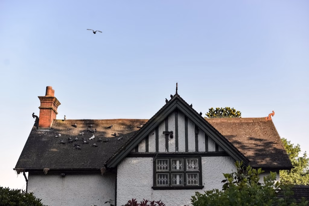 Examining Missing or Cracked Shingles