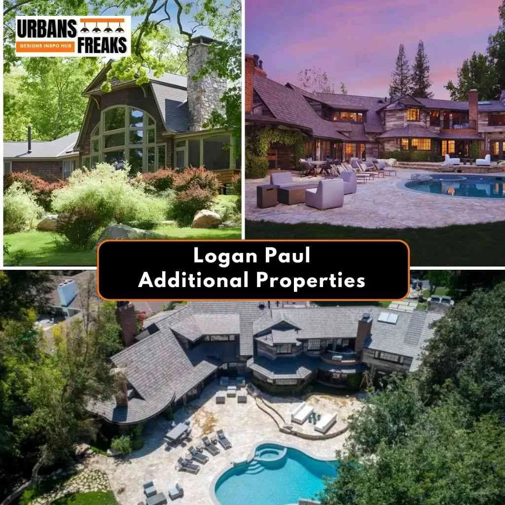 Logan Paul Additional Properties