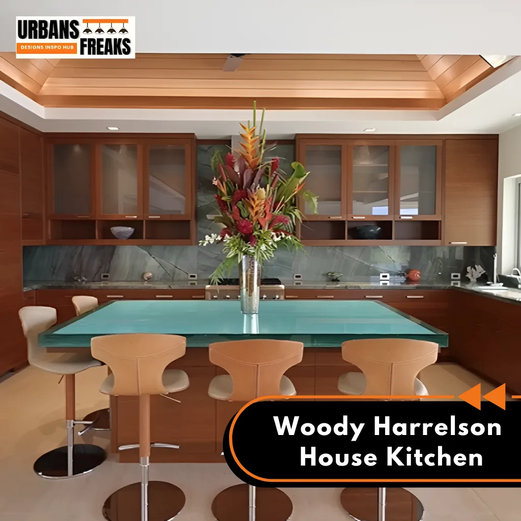 Woody Harrelson House KITCHEN