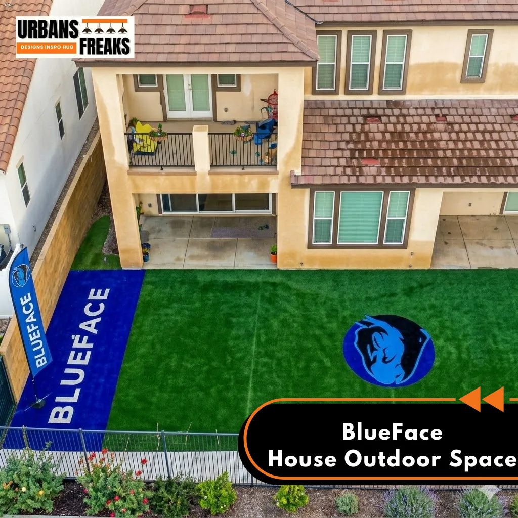BlueFace house outdoor space