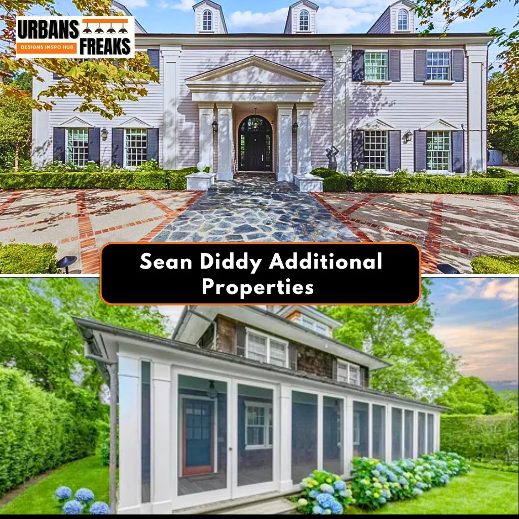 Sean Diddy  additional properties