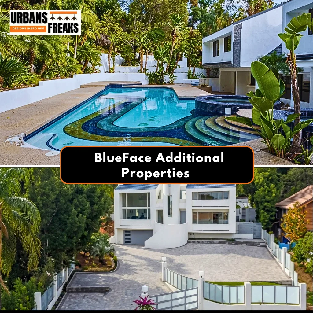 BlueFaceadditional properties