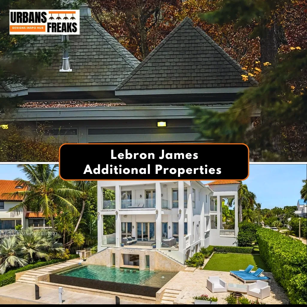 LeBron James additional properties