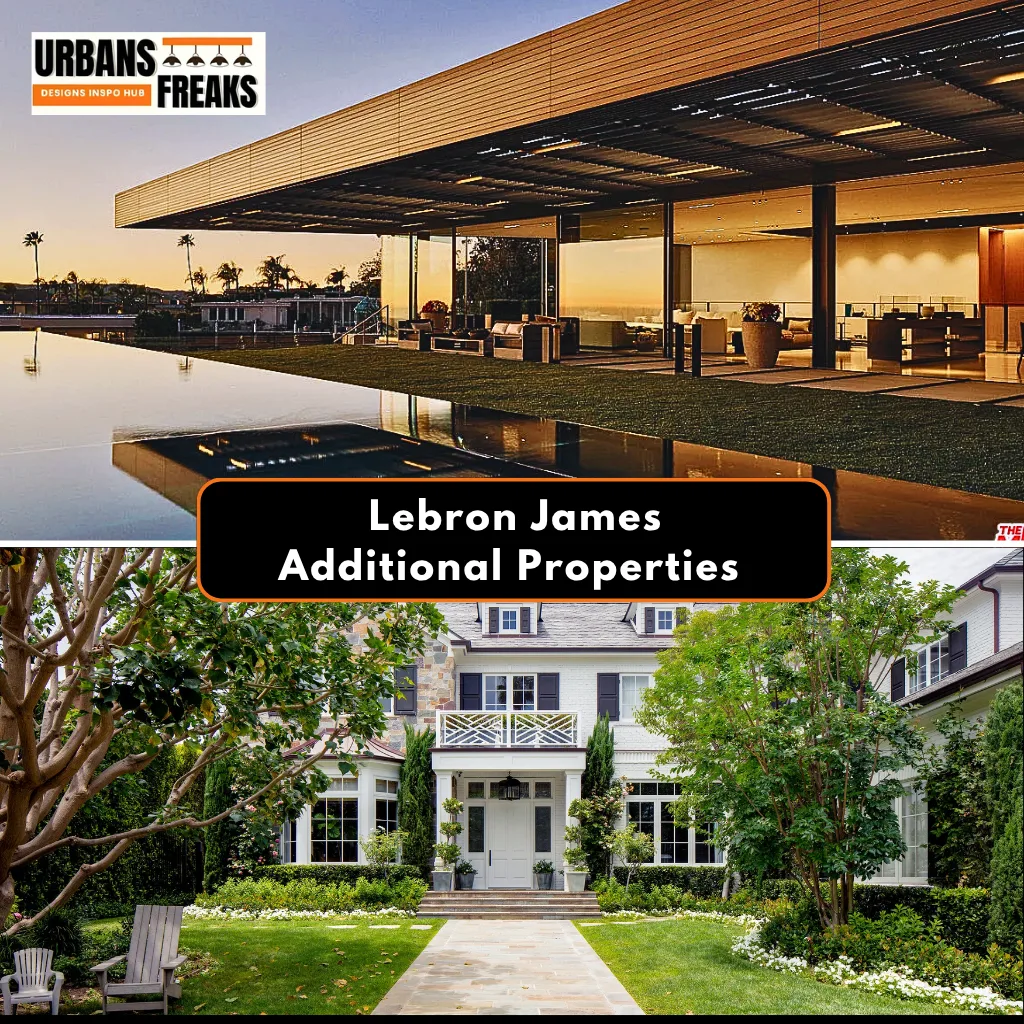 LeBron James additional properties