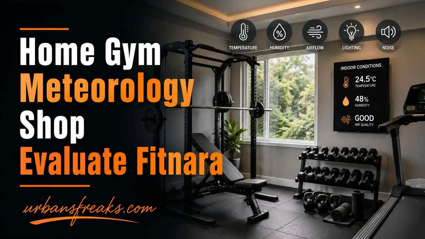 Home Gym Meteorology Shop Evaluate Fitnara
